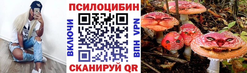 Купить  Кимры  Галлюциногенные грибы MAGIC MUSHROOMS 